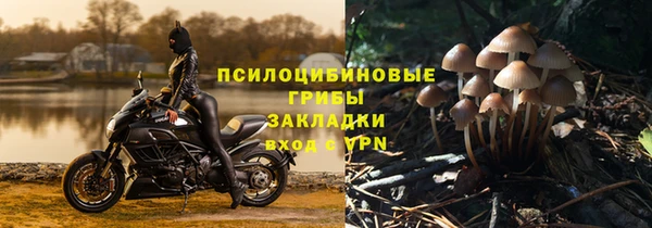 2c-b Абаза