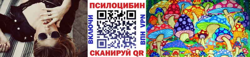 OMG вход  Югорск  Псилоцибиновые грибы Psilocybe 