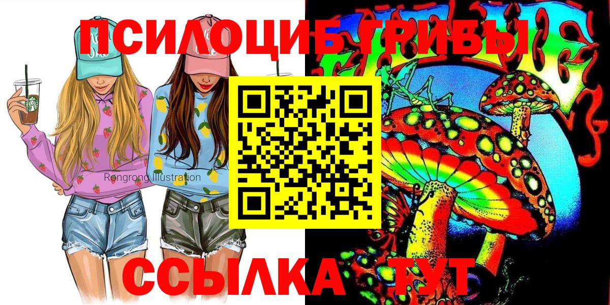 Югорск  Псилоцибиновые грибы мицелий  сколько стоит  Вход с VPN 